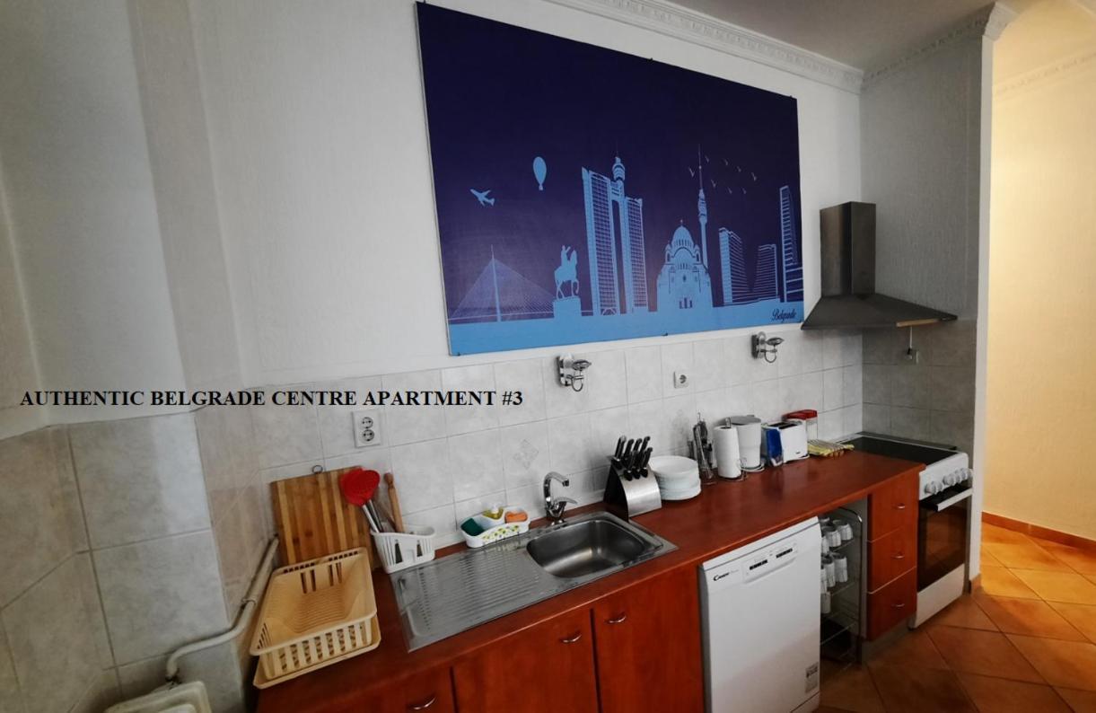 Authentic Belgrade Centre Apartments For Large Groups, Republic Square - Up To 47 People In 5 Apartments エクステリア 写真